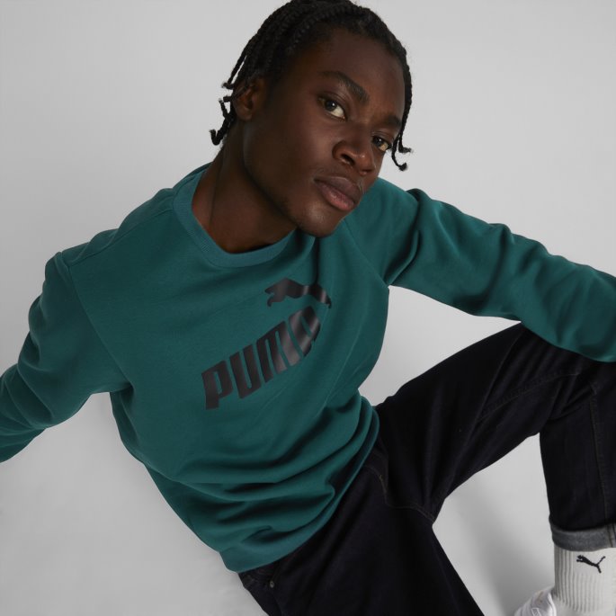 Puma På Salg Nødvendigheter Stor Logo Rund Hals Herregenser Varsity Green
