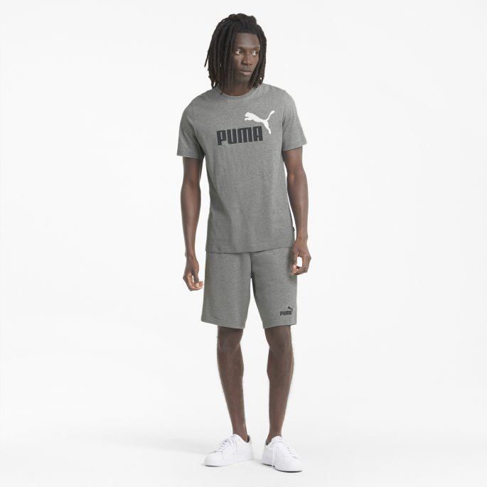 Essentials+ 2 Farger Logo Herre T-skjorte Puma På Tilbud Mellomgrå Lyng