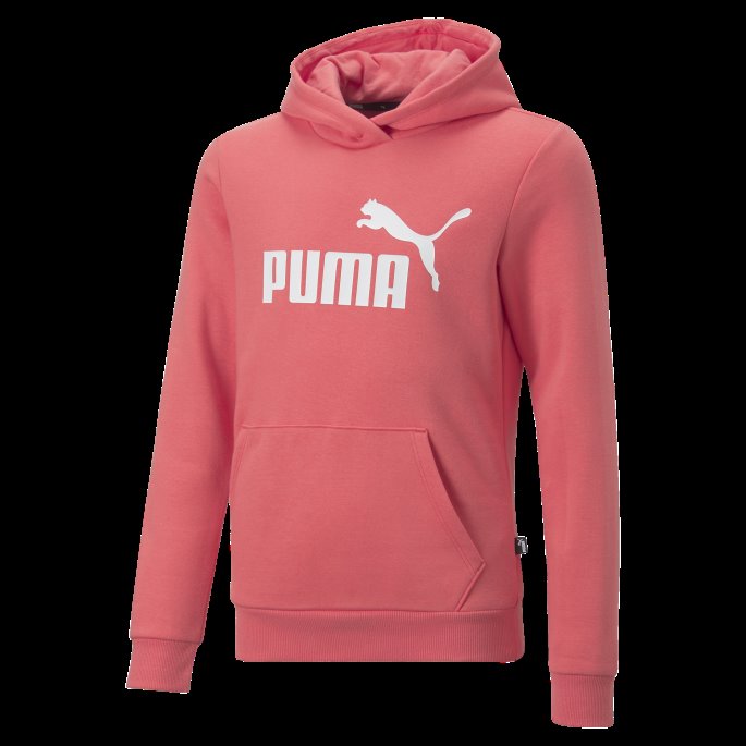Salmon Essentials Logo Ungdomshettegenser Puma På Salg