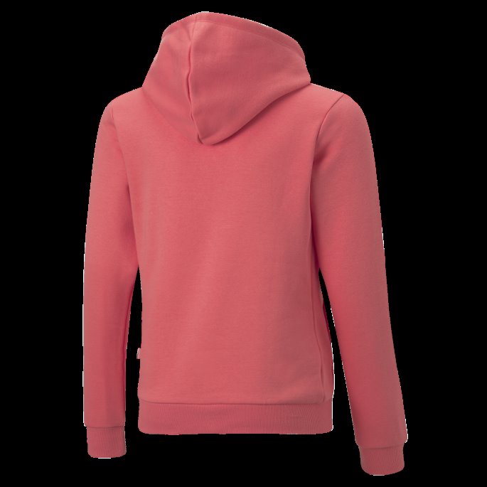 Salmon Essentials Logo Ungdomshettegenser Puma På Salg