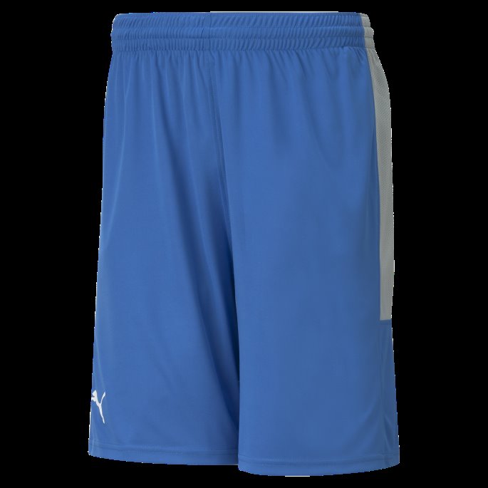 Puma På Salg Sterke Blå Basketball-shorts For Menn