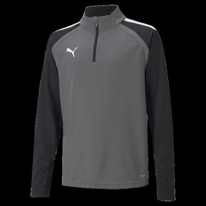 Teamliga Quarter-zip Ungdomsfotball Topp Puma På Tilbud Røkt Perlehvit