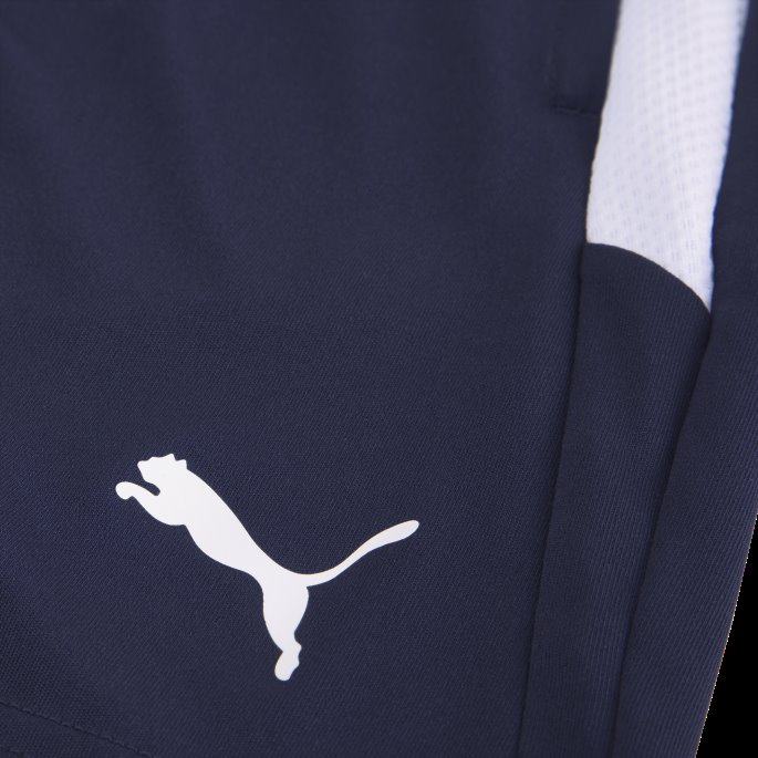 Puma På Salg Peacoat-hvit Teamliga Ungdomsfotballshorts