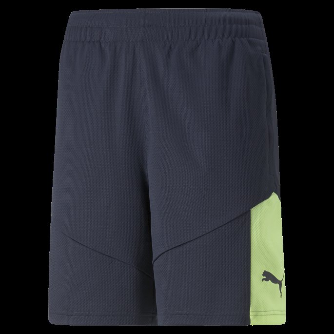 Puma På Tilbud Parisian Night-fizzy Light Individuell Finale Fotball Treningsshorts For Menn