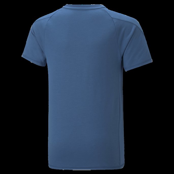 Lake Blue Evostripe Tee Ungdom Puma På Salg