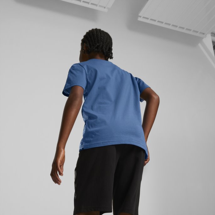Puma På Salg Lake Blue Alpha Tee Ungdom