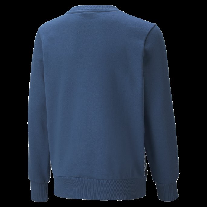 Lake Blue Alpha Printed Crew Neck Sweatshirt Youth Puma På Salg