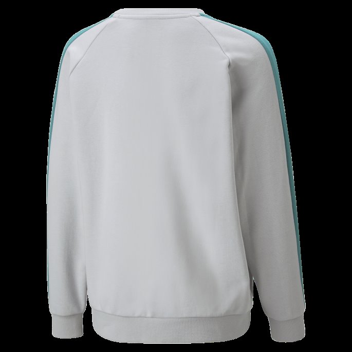 Arctic Stars Crewneck Ungdomsgenser Puma På Tilbud Harbor Mist