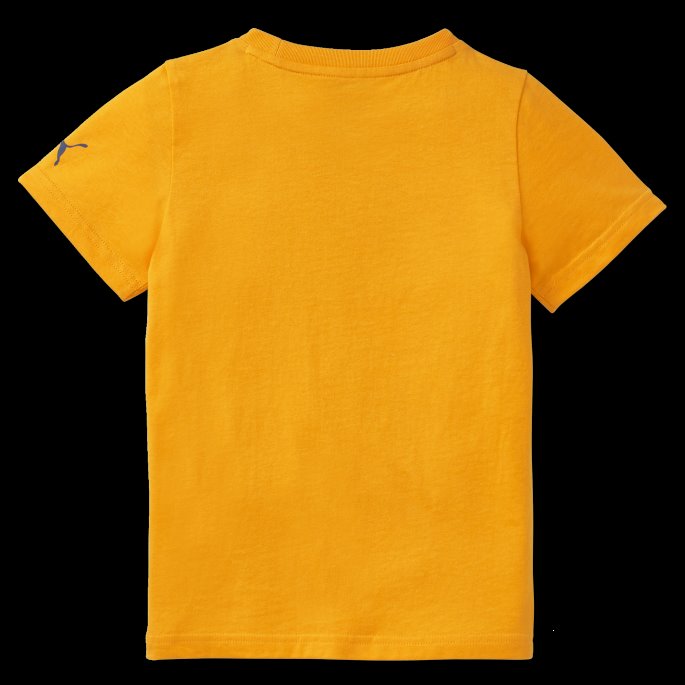 Puma På Salg Tangerine Small World Tee Barn