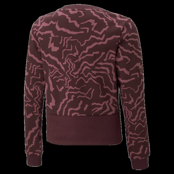 Støvete Orkidé-aop Alfa-trykt Sweatshirt Med Rund Hals Til Ungdom Puma På Salg