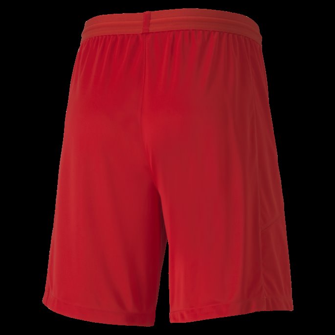 Lagfinale Strikket Herreshorts Puma På Salg Rød