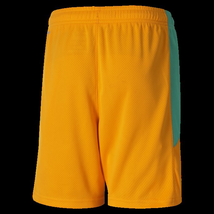 Flamme Oransje-pepper Grønn Puma På Tilbud Elfenbenskysten Hjemme Replika Ungdomsfotballshorts