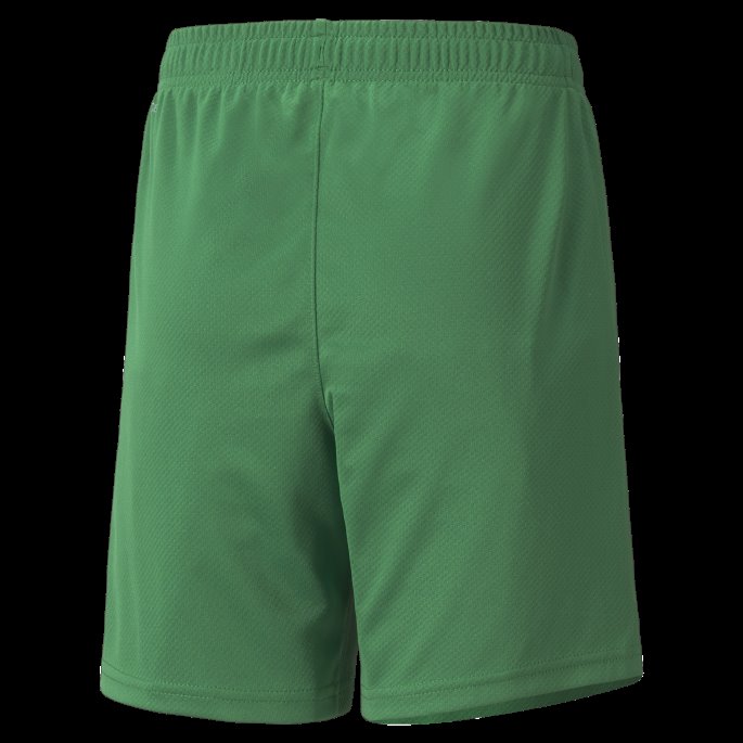 Puma På Salg Mann City Goalkeeper Replica Ungdomsfotballshorts Amazon Grønn-hvit