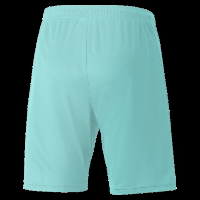 Puma På Tilbud Blå Turkis Austria Bortekopi Herreshorts