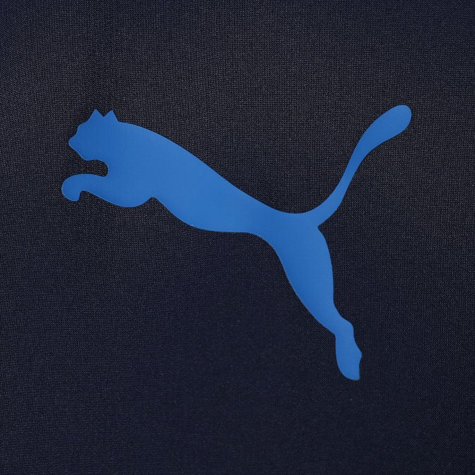 Puma På Tilbud X First Mile Figc Prematch Herre Fotballjakke Peacoat-team Power Blue
