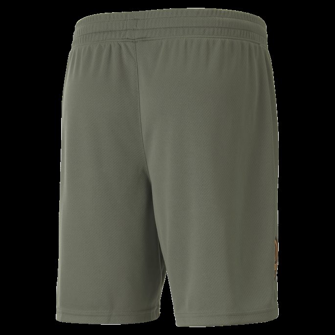 Timian-gyllen Valmue Puma På Salg Fc Shakhtar Donetsk 22-23 Replica Shorts Menn