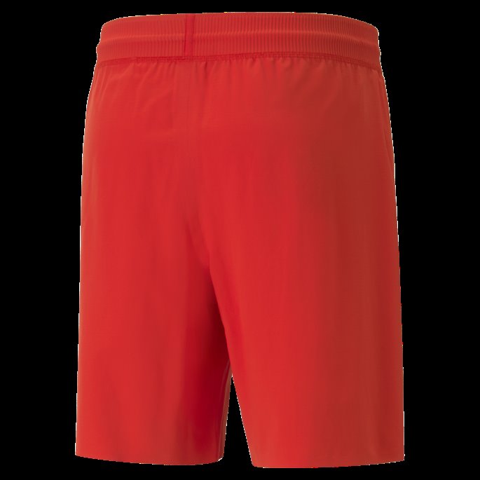 Puma På Tilbud Rødløvetann Ghana 22-23 Promo Shorts Herre