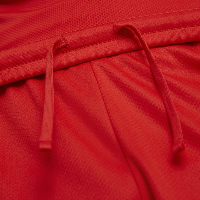 Puma På Tilbud Rød-hvit Sveits 22-23 Replica Shorts Herre