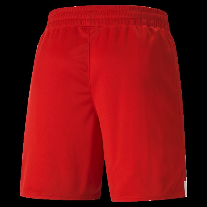Puma På Tilbud Rød-hvit Sveits 22-23 Replica Shorts Herre