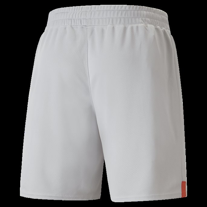 Harbor Mist Switzerland 22-23 Replica Shorts Herre Puma På Tilbud