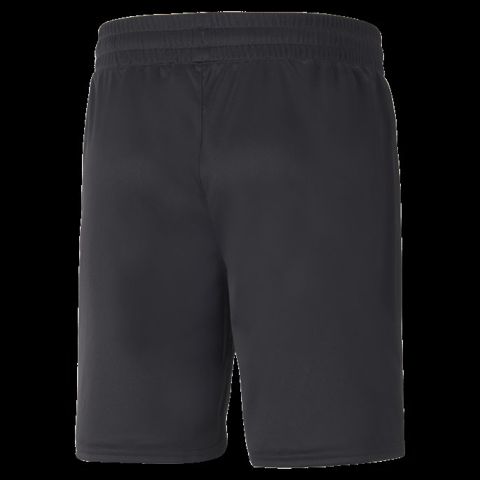 Svart-fantom Svart-grønn Borussia M Nchengladbach 22-23 Replica Shorts Menn Puma På Tilbud