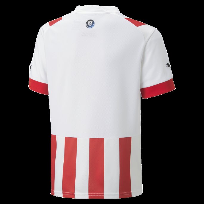 Høy Risiko Rød-hvit Psv Eindhoven Hjemme 22-23 Replika Trøye Ungdom Puma På Salg