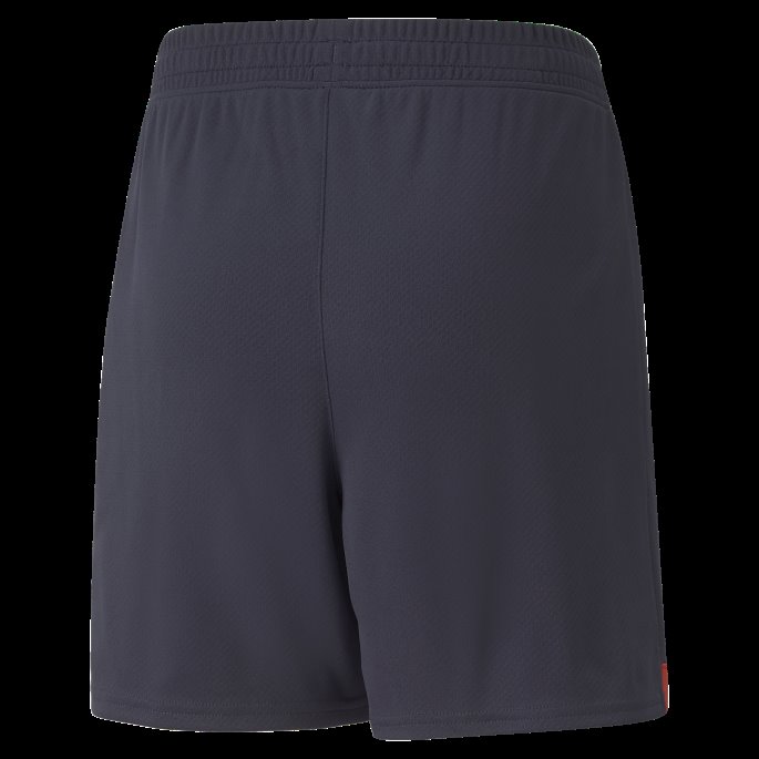 Parisisk Natt-høyrisiko Rød Puma På Salg Psv Eindhoven 22-23 Replica Shorts Ungdom