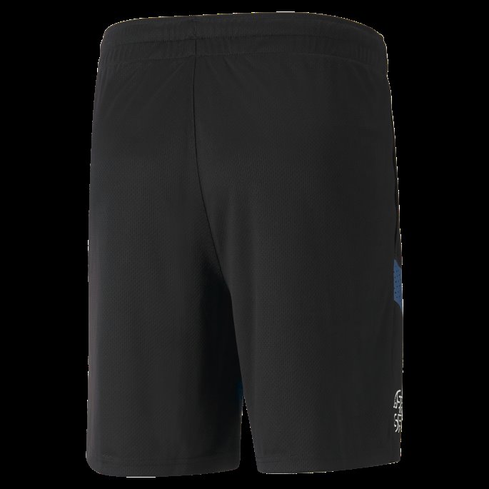 Svart-hvit Sveits Fotball Treningshorts Menn Puma På Tilbud