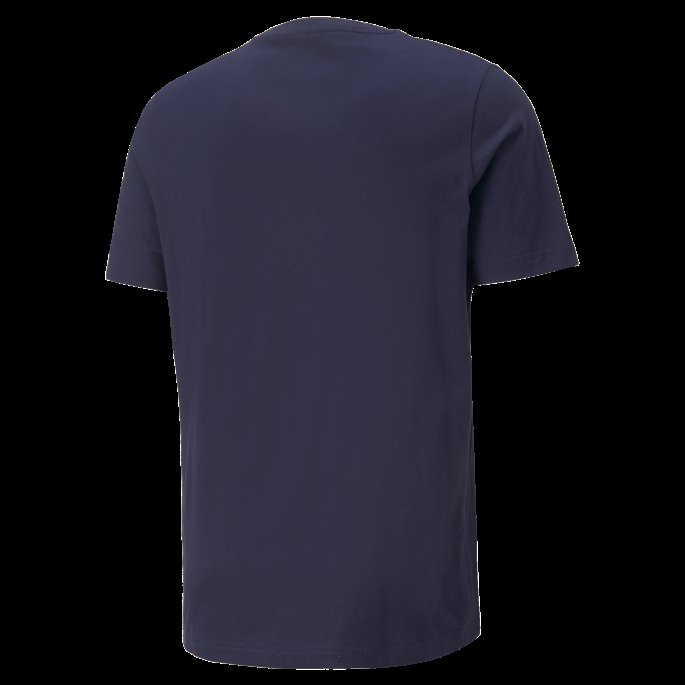 Puma På Salg Tsjekkia Fotball Ftblcore Tee Menn Peacoat