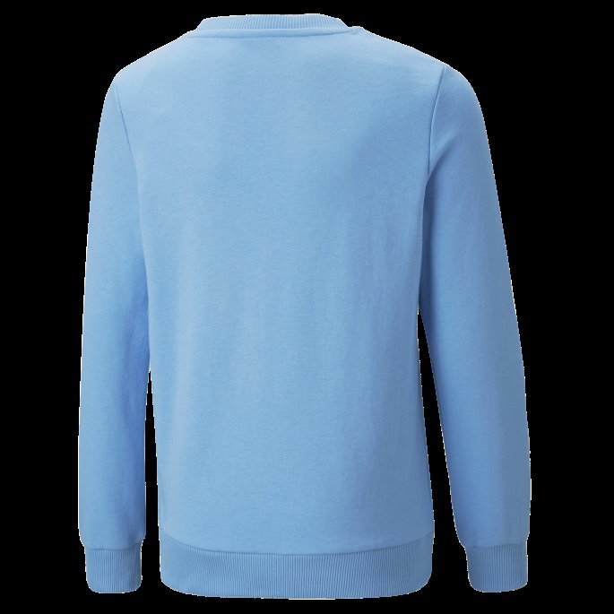 Manchester City F.c. Fotball Ftblcore Sweatshirt Ungdom Puma På Salg Team Lys Blå-intens Rød