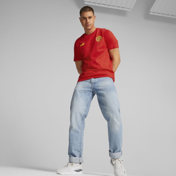 Puma På Salg Rødløvetann Ftblcore Fan Tee Menn