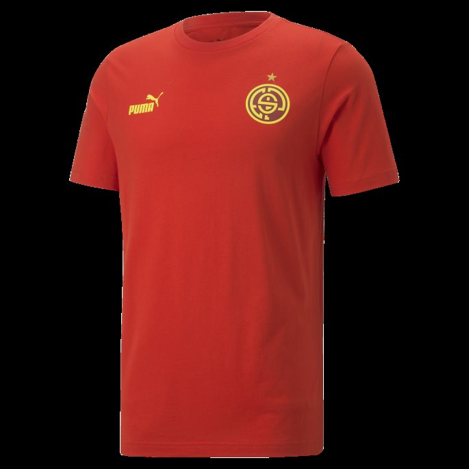 Puma På Salg Rødløvetann Ftblcore Fan Tee Menn