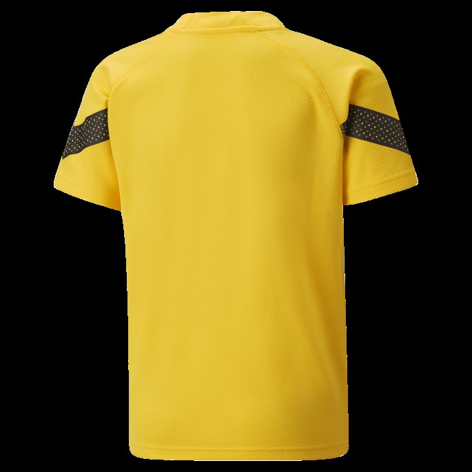 Puma På Salg Cyber Gul Borussia Dortmund Fotball Treningsdrakt Ungdom