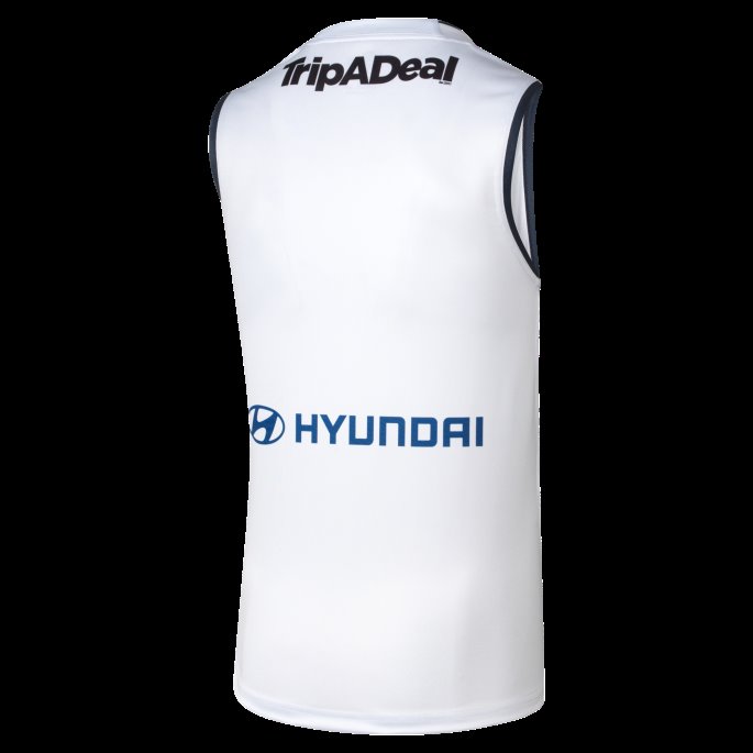 Hvit-mørke Marine Puma På Salg Carlton Fc Herre Replica Clash Guernsey
