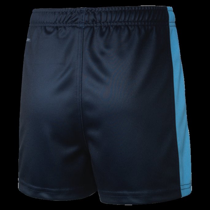 Mørk Safir-- Nsw Blues Nsw Blues Ungdoms Replica Shorts Puma På Salg