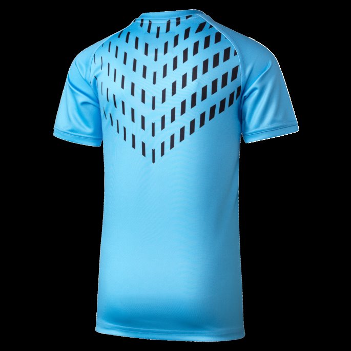 Puma På Tilbud Nsw Blues Ungdom Replica Treningstrøye Bel Air Blue-nsw Blues