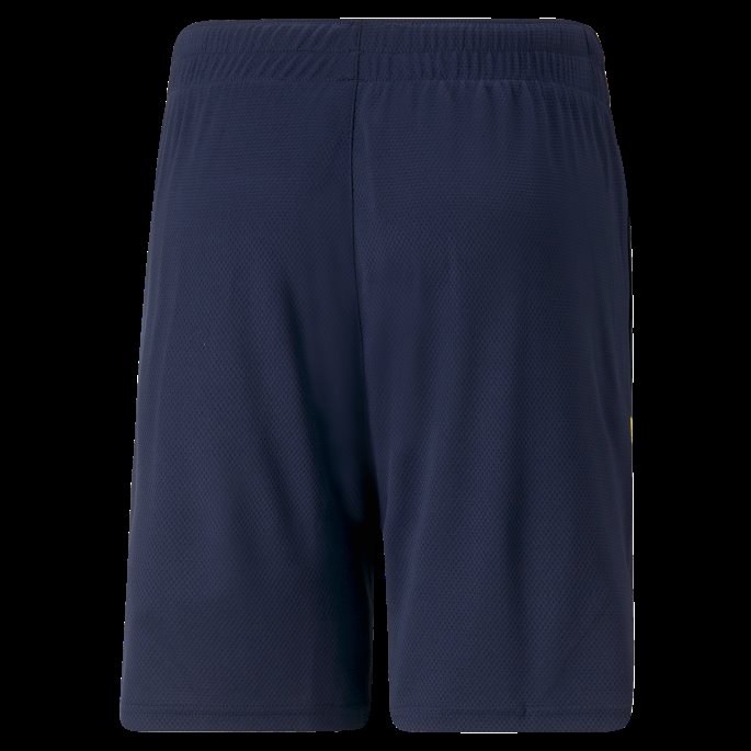 Puma På Salg Middelalderblå-flammende Gul Fenerbah E S.k. Treningshorts Menn