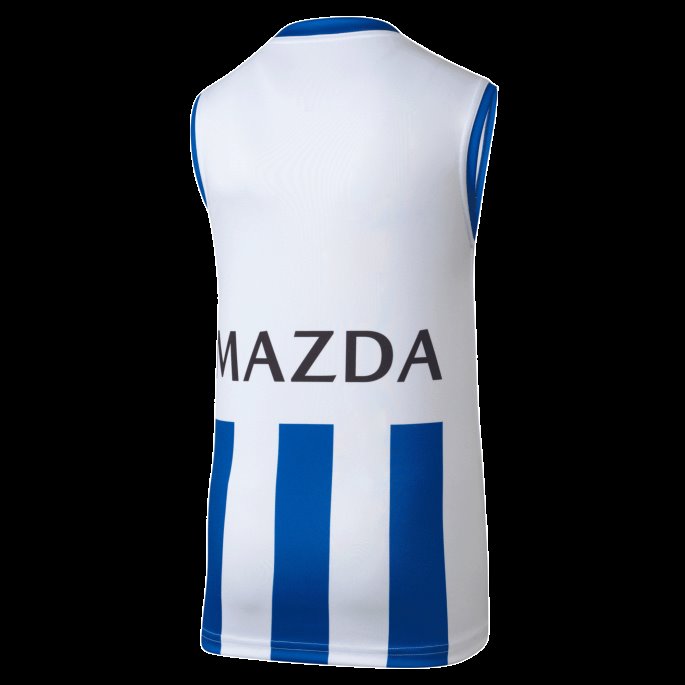 Nord Melbourne Fotballklubb Ungdoms Kopi Hjemme Guernsey Puma På Salg Surfe På Nettet-nmfc