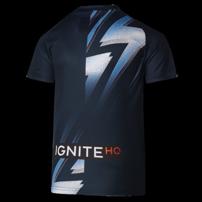 Nsw Blues Ungdom Replica Trening T-skjorte Puma På Salg Mørk Safir-nsw Blues