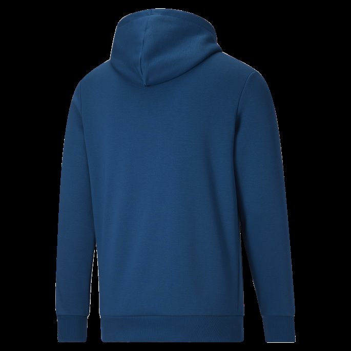 Puma På Salg Nødvendigheter Stor Logo Hettegenser For Menn Lake Blå-mandarin-hvit