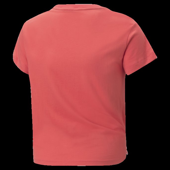 Puma På Tilbud Essentials+ Logo Knute Ungdoms-t-laks