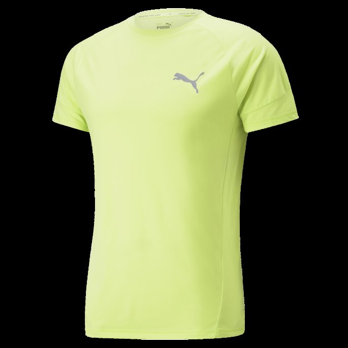 Lett Lime Evostripe Herre T-skjorte Puma På Salg