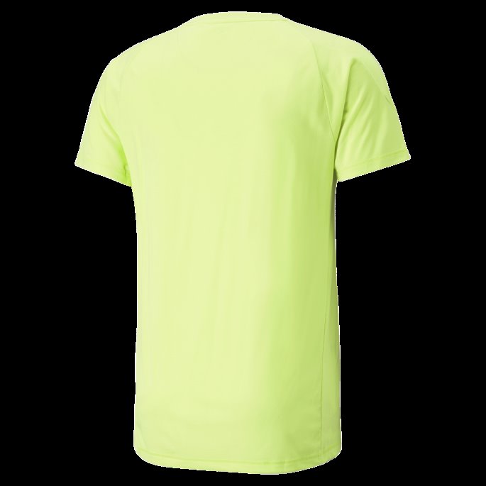 Lett Lime Evostripe Herre T-skjorte Puma På Salg