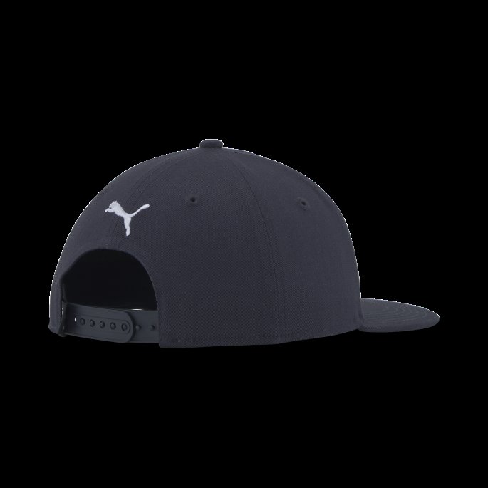 Puma På Tilbud Nyc Science Snapback Marine