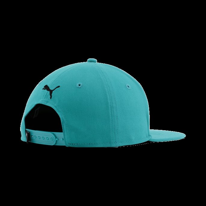 Puma På Tilbud Nyc Rivington Snapback Lue Turkis